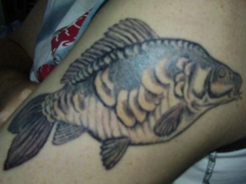 Grey Ink Left Shoulder Carp Fish Tattoo